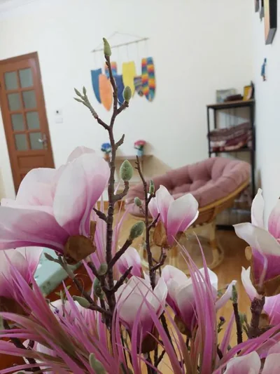Alley Homestay – Ảnh 8