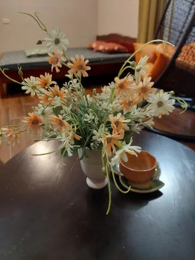 Phòng đôi hoặc hai giường đơn Deluxe — Alley Homestay