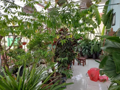 Phòng đôi nhìn ra vườn — Alley Homestay